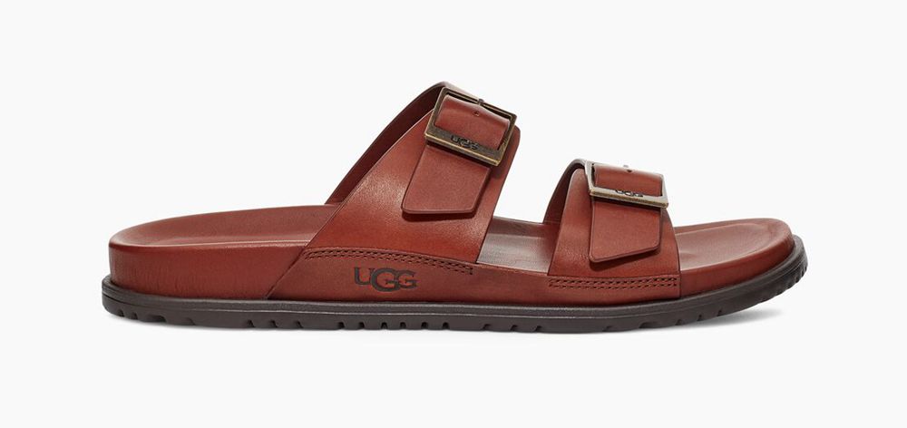 Ugg Wainscott Buckle - Mens Slides - Chocolate - NZ (2394MNEDT)